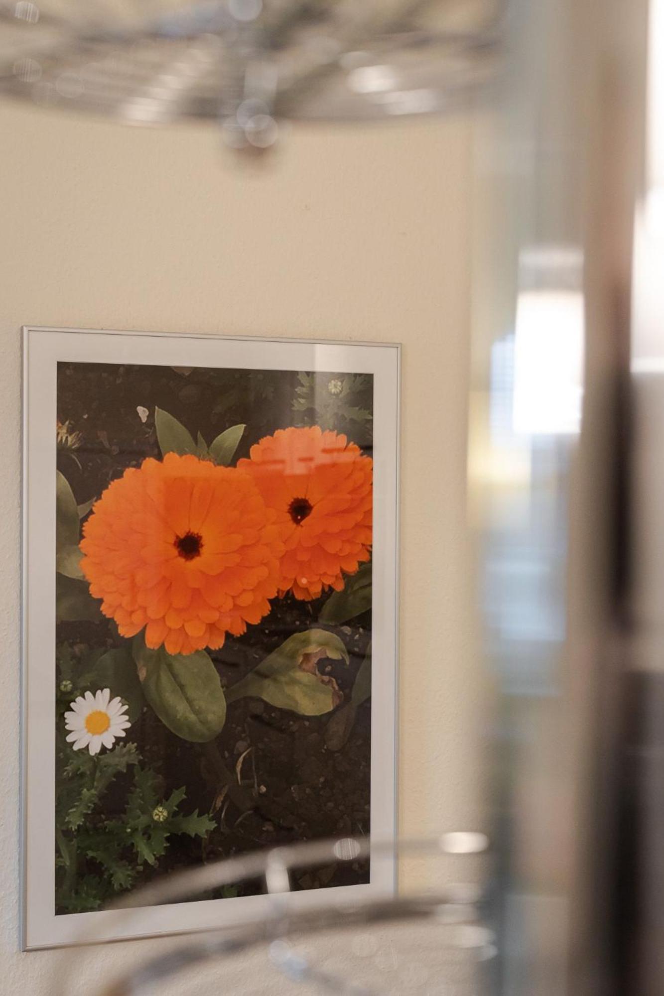 Fewo Ringelblume ลิสท์ ภายนอก รูปภาพ